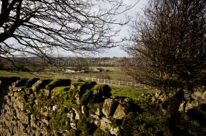 craggley cottage 49.jpg